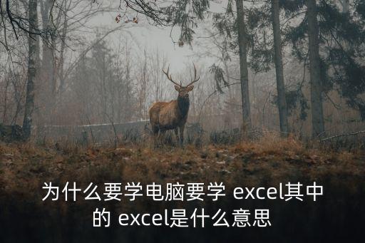 為什么要學電腦要學 excel其中的 excel是什么意思