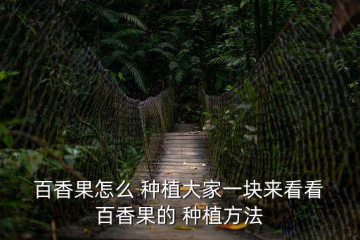  百香果怎么 種植大家一塊來看看 百香果的 種植方法