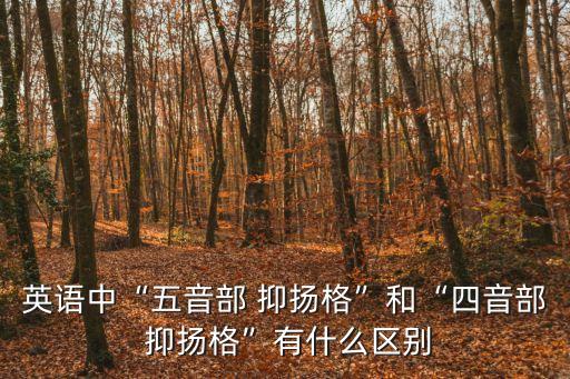 英語中“五音部 抑揚(yáng)格”和“四音部 抑揚(yáng)格”有什么區(qū)別