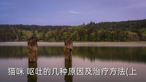 貓貓嘔吐,貓咪嘔吐吃什么藥好