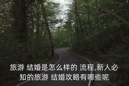 旅游 結婚是怎么樣的 流程,新人必知的旅游 結婚攻略有哪些呢