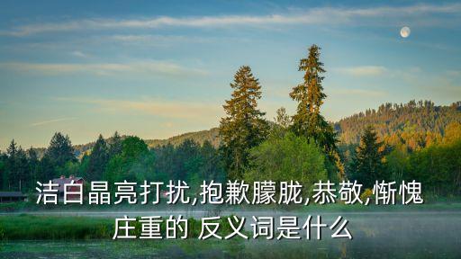 潔白晶亮打擾,抱歉朦朧,恭敬,慚愧 莊重的 反義詞是什么
