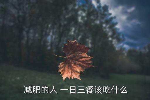  減肥的人 一日三餐該吃什么
