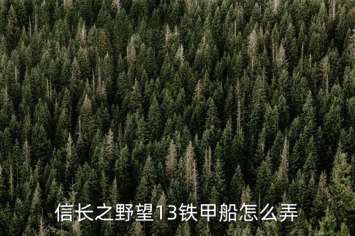 信長之野望13鐵甲船怎么弄