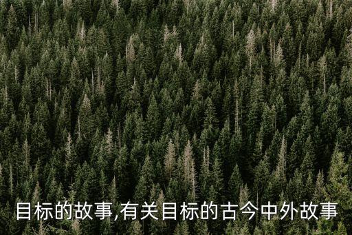 關于目標的故事,有關目標的古今中外故事?