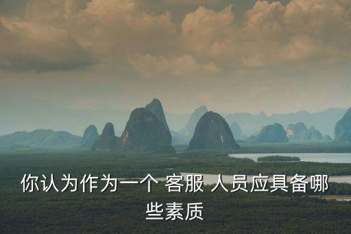你認(rèn)為作為一個(gè) 客服 人員應(yīng)具備哪些素質(zhì)