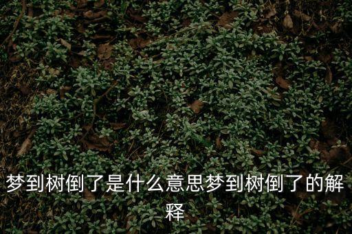 夢見大樹倒了,已婚女人夢見大樹倒了