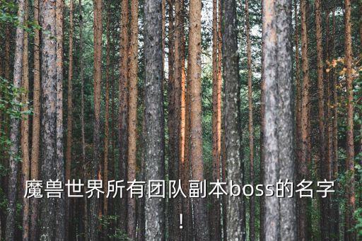 冰吼,我國團的打法是先暈后換回龍影的