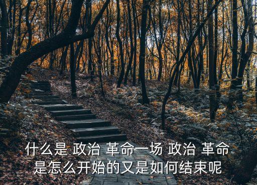 什么是 政治 革命一場 政治 革命是怎么開始的又是如何結束呢