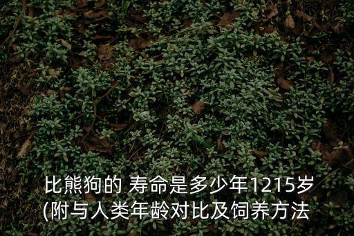 比熊壽命,比熊犬壽命有多少年?