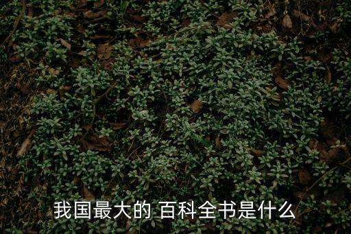 我國最大的 百科全書是什么
