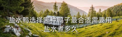  鹽水鴨選擇哪種鴨子最合適需要用 鹽水煮多久