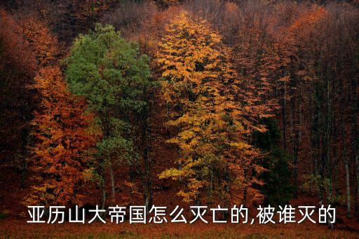  亞歷山大帝國怎么滅亡的,被誰滅的