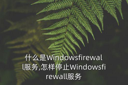 什么是Windowsfirewall服務(wù),怎樣停止Windowsfirewall服務(wù)