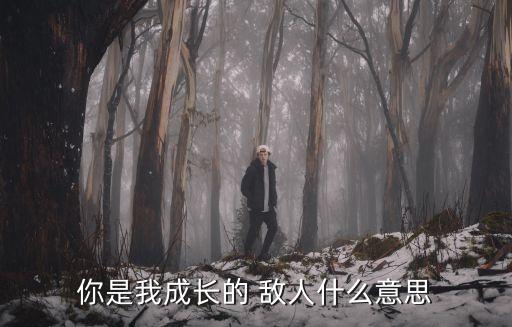 你是我成長的 敵人什么意思