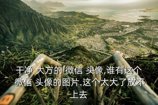 干凈 大方的 微信 頭像,誰(shuí)有這個(gè) 微信 頭像的圖片.這個(gè)太大了放不上去