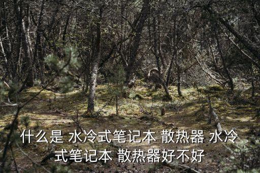 cpu水冷散熱器,CPU水冷散熱器怎么安裝
