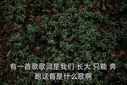 長大以后我只能奔跑,有一句歌詞是長大以后我只能奔跑