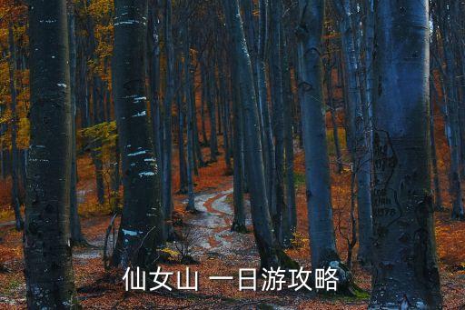 仙女山 一日游攻略