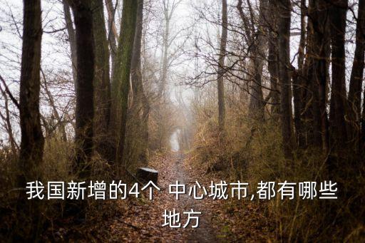 我國新增的4個 中心城市,都有哪些地方