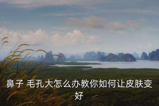 鼻子 毛孔大怎么辦教你如何讓皮膚變好
