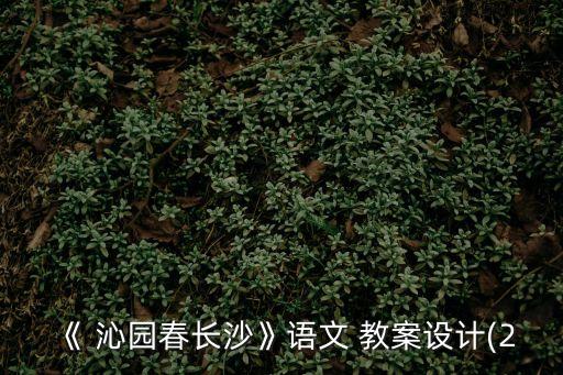 《 沁園春長沙》語文 教案設計(2