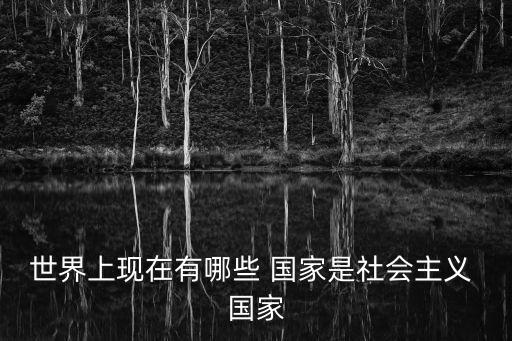 世界上現在有哪些 國家是社會主義 國家
