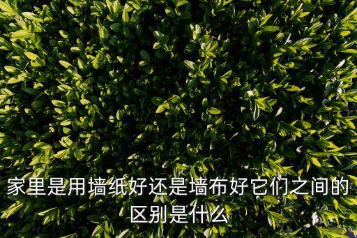壁布和壁紙的區別,壁紙和墻布的區別有哪些?