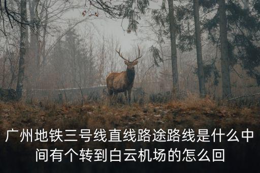 廣州地鐵三號線直線路途路線是什么中間有個轉到白云機場的怎么回