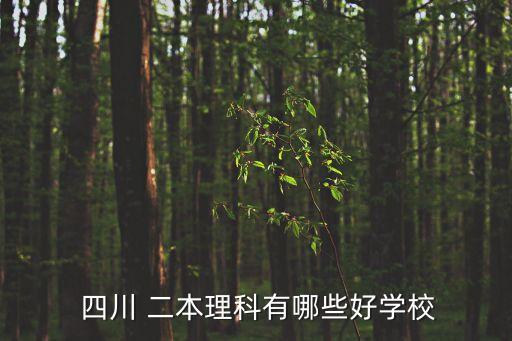  四川 二本理科有哪些好學(xué)校