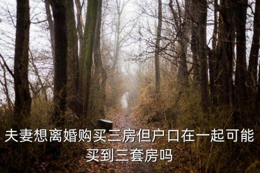 廣州夫妻離婚多套房產，廣州戶口離異帶孩子可以買第二套房