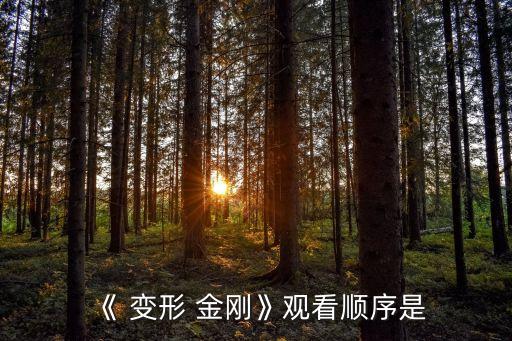 變形金剛5票房,變形金剛5和墮落者的復(fù)仇》上映