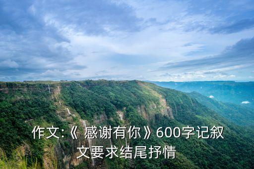  作文:《 感謝有你》600字記敘文要求結尾抒情