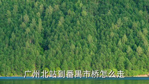 廣州北到番禺，廣州北站到番禺區(qū)的方式