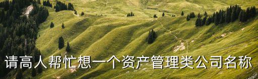 請(qǐng)高人幫忙想一個(gè)資產(chǎn)管理類公司名稱