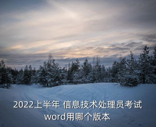2022上半年 信息技術處理員考試word用哪個版本