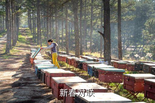 中華新史,新春對聯:把酒吟詩歌稔歲下聯:春暖花開萬戶春