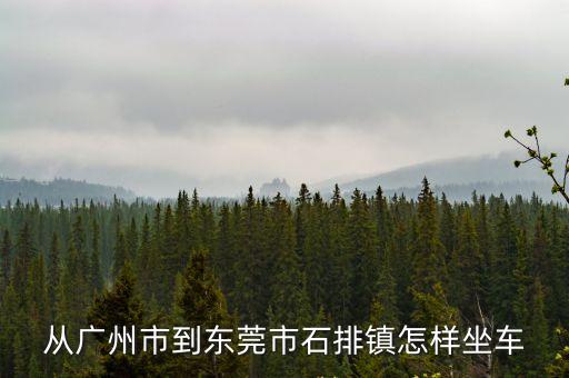 廣州到東莞石排鎮(zhèn)班車，廣州到東莞石排鎮(zhèn)如何坐車大巴最好是直達(dá)的具體是什么車去