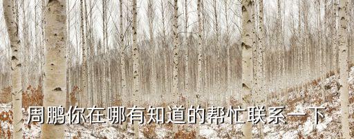 廣州男籃周鵬茶室，周鵬你在哪有知道的幫忙聯系一下