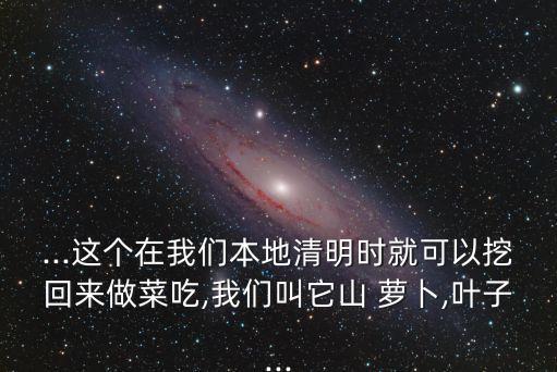 山蘿卜