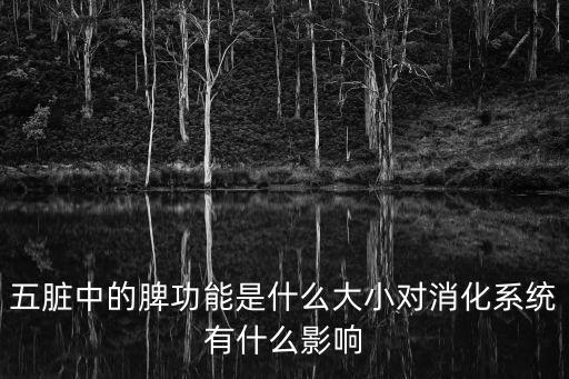 五臟中的脾功能是什么大小對消化系統有什么影響