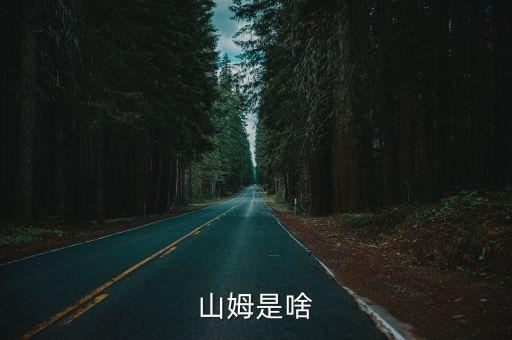 沃爾瑪創(chuàng)始人,《促銷的本質(zhì)》txt下載免費在線閱讀