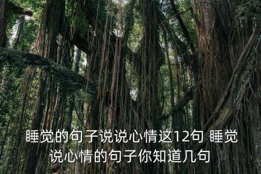 睡覺(jué)的說(shuō)說(shuō),關(guān)于睡覺(jué)的幽默句子有哪些?
