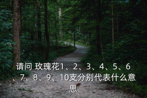 請問 玫瑰花1、2、3、4、5、6、7、8、9、10支分別代表什么意思