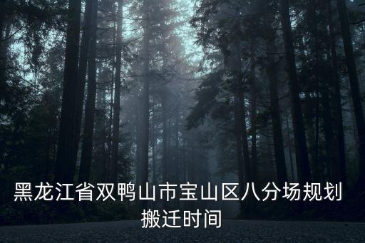 黑龍江省雙鴨山市寶山區(qū)八分場規(guī)劃 搬遷時間