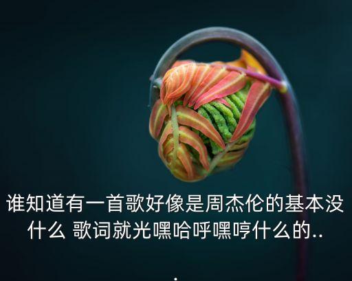誰知道有一首歌好像是周杰倫的基本沒什么 歌詞就光嘿哈呼嘿哼什么的...