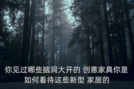 你見過哪些腦洞大開的 創意家具你是如何看待這些新型 家居的