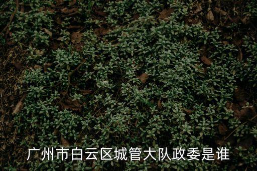 廣州王士貞，廣州市白云區城管大隊政委是誰