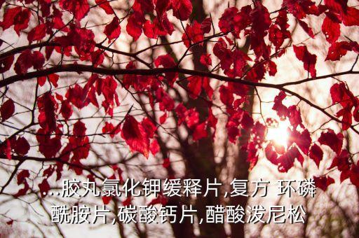 ...膠丸氯化鉀緩釋片,復方 環磷酰胺片,碳酸鈣片,醋酸潑尼松