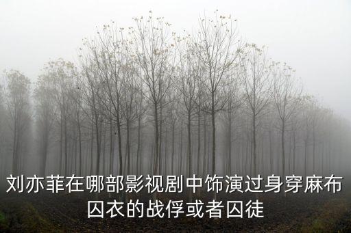 劉亦菲在哪部影視劇中飾演過身穿麻布囚衣的戰俘或者囚徒